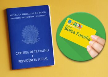 emprego - carteira de trabalho e bolsa familia