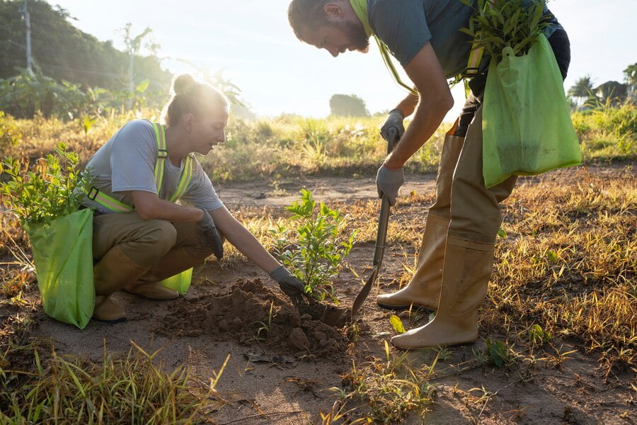 O setor agrícola desempenha um papel fundamental na economia brasileira