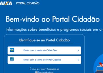 Veja HOJE como consultar o Bolsa Família pelo Portal Cidadão!