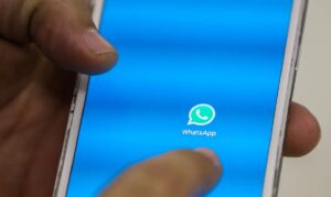 Bolsa Família no WhatsApp: como acessar a atualização de setembro 2024