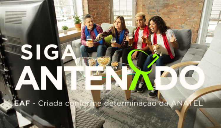 Como solicitar o Kit Antena Digital que é gratuita pelo governo / Imagem: Freepik e O Bolsa Família