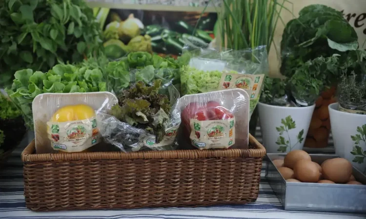 Cesta com alimentos frescos e orgânicos, representando o benefício do Cartão Comida Boa.