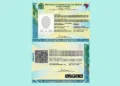 Modelo da nova Carteira de Identidade Nacional (CIN) emitida no Brasil.