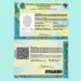 Modelo da nova Carteira de Identidade Nacional (CIN) emitida no Brasil.