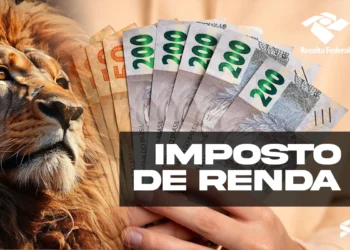 Prazo Imposto de Renda 2025 está chegando ao fim.