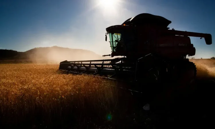 Colheitadeira no campo ao amanhecer, representando o esforço agrícola e as mudanças nas políticas de seguro rural.