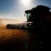 Colheitadeira no campo ao amanhecer, representando o esforço agrícola e as mudanças nas políticas de seguro rural.