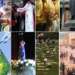 Montagem com representações de diferentes feriados nacionais brasileiros.