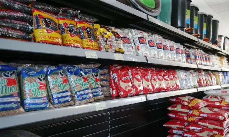 Produtos essenciais como arroz e feijão em prateleiras de supermercado