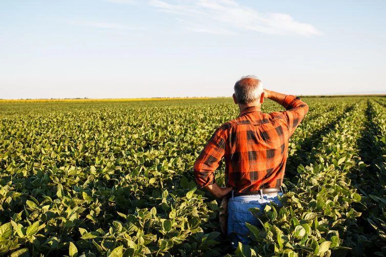 Agricultor observando sua lavoura, um reflexo das preocupações dos pequenos produtores diante das novas regras do Proagro.