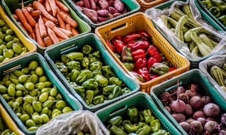 Diversas cestas de legumes frescos, representando os itens que podem ser incluídos nas cestas básicas distribuídas pela prefeitura.