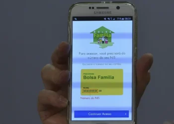 Tela do app Bolsa Família exibindo solicitação do número do NIS