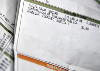 Imagem exemplificando a tarifa de energia com destaque para o valor do consumo e taxas adicionais.