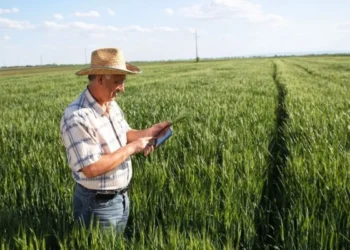 Produtor rural usando um tablet para acessar dados do seu imóvel no campo, ilustrando o uso do app Meu Imóvel Rural.