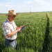 Produtor rural usando um tablet para acessar dados do seu imóvel no campo, ilustrando o uso do app Meu Imóvel Rural.