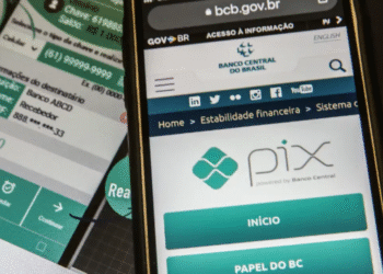Tela do site do Banco Central do Brasil mostrando o sistema Pix com botão de início e papel do BC, relacionado à exclusão de 8 milhões de chaves.