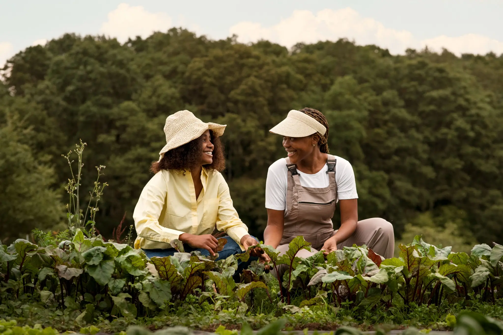 Duas mulheres sorridentes em uma plantação, trabalhando juntas na agricultura familiar, tema central nas discussões sobre a aposentadoria rural e as mudanças nas regras.
