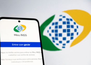 Tela do app Meu INSS para login com gov.br, orientando sobre segurança de senha para regularizar pagamentos em atraso.