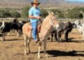 Homem com chapéu de caubói montado em um burro, em um curral com gado ao fundo, ilustrando a posse de bens rurais.