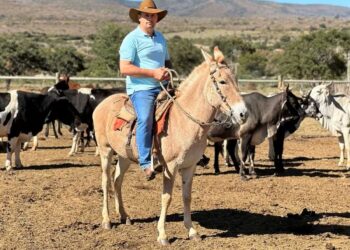 Homem com chapéu de caubói montado em um burro, em um curral com gado ao fundo, ilustrando a posse de bens rurais.