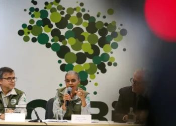 Pessoas em reunião formal do ICMBio com microfone e mural de círculos verdes ao fundo