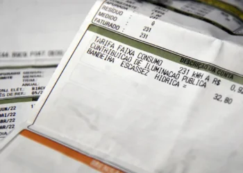 Detalhes da conta de luz com informações sobre consumo, tarifa, contribuição e bandeira escassez hídrica