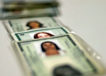 Fileira de documentos de identidade (RG), representando a transição para a nova identidade e a guarda de documentos.