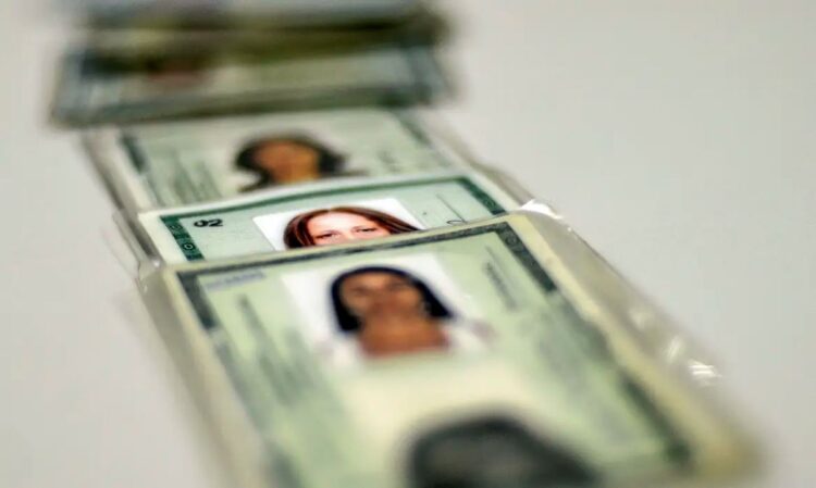 Fileira de documentos de identidade (RG), representando a transição para a nova identidade e a guarda de documentos.