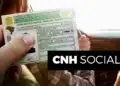 Governo abre inscrições para habilitação grátis e vagas são limitadas 13 Pessoa segura CNH dentro de carro enquanto dirige durante campanha de habilitação gratuita.